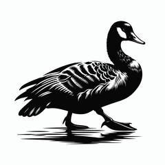 Black a duck silhouette vector illustration on white background