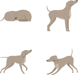 Greyhound dog icons set cartoon vector. Cute english greyhound character. Pet, animal