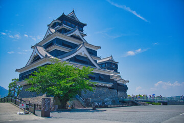 Fototapeta premium 熊本城