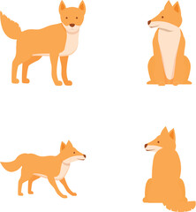 Wild dog icons set cartoon vector. Australian wild dog dingo. Breed canine