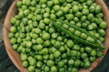 Green Peas. Green background. Green pea top view copy space. Fresh organic green peas. Vegetable harvesting. Beautiful close up of fresh peas and pea pods. Healthy vegetarian food