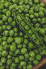 Green Peas. Green background. Green pea top view copy space. Fresh organic green peas. Vegetable harvesting. Beautiful close up of fresh peas and pea pods. Healthy vegetarian food