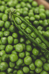 Green Peas. Green background. Green pea top view copy space. Fresh organic green peas. Vegetable harvesting. Beautiful close up of fresh peas and pea pods. Healthy vegetarian food