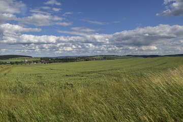 Obraz premium Landschaft nördlich vom Harz in der Nähe von Alfeld