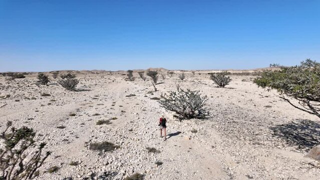 Aerial view of a tourist woman explores the enchanting landscapes of Wadi Dawkah Natural Park in Oman, capturing the breathtaking groves of Frankincense Trees and the UNESCO World Heritage Site.