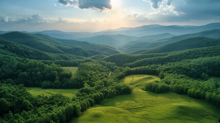 Fototapeta premium A vast green forest viewed from above, with layers of trees stretching into the distance