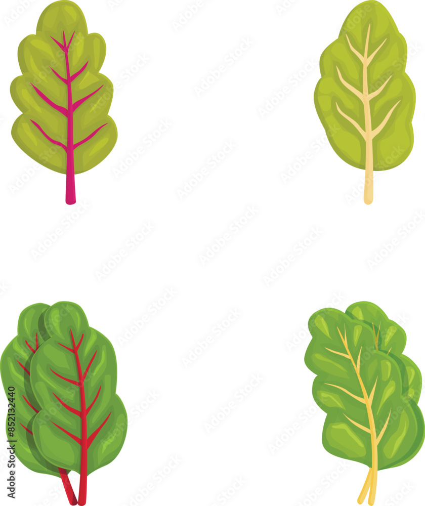 Poster set of four vector illustrations of green leaves with various shapes and vein patterns