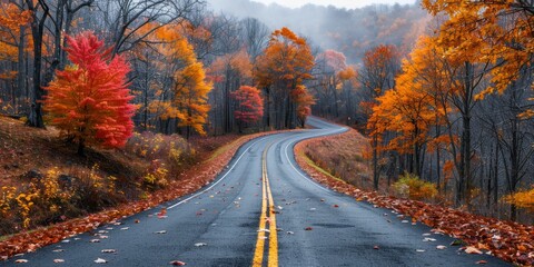 Obraz premium A winding road through an autumn forest, lined with vibrant fall foliage and a misty atmosphere.