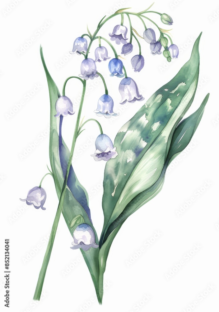 Wall mural Stock illustration of watercolor hand drawn spring flowers.