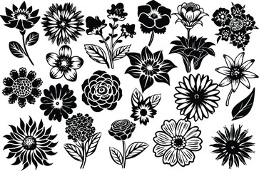 flower vector illustration leaf nature plant design no people summer hibiscus decoration silhouette tropical background blossom tree single flower in silhouette