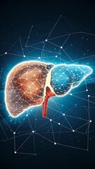 Human Liver in a vector art
