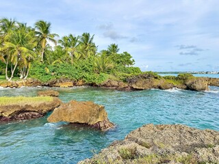 view of a rocky seaside of guadeloupe in the french west indies with waves breaking on rocks and...