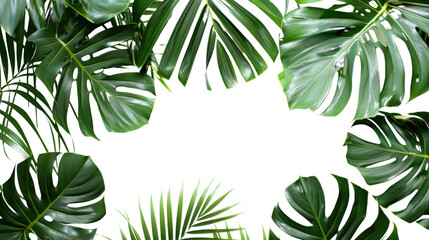 Tropical leaves on a transparent background