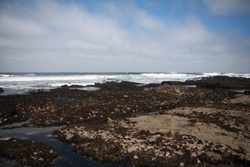 Tide pools at Pillar Point, Half Moon Bay, California
