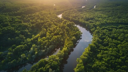 During the summer a breathtaking aerial perspective captures the untamed beauty of a wild river nestled within a lush forest