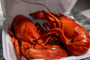 Fully Cooked Lobster