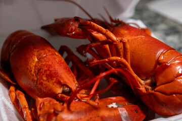 Fully Cooked Lobster