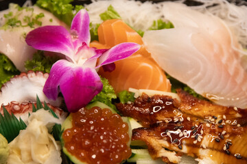 Variety of Sashimi