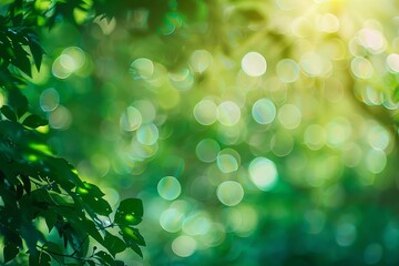 Obraz premium A blurry green and yellow lights. Green Blur Background