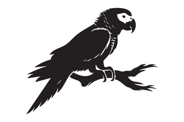 Fototapeta premium black and white parrot