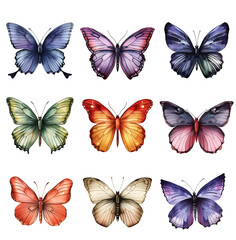 Obraz premium Watercolor of various butterflies, clip art set on a white background