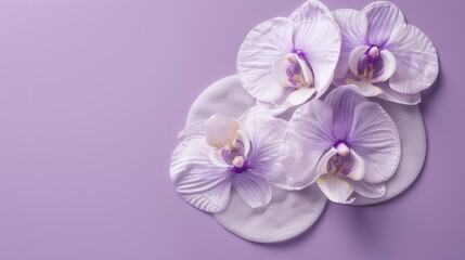 Obraz premium Disposable cotton breast pads featuring an orchid flower design against a violet backdrop for managing milk leakage in breastfeeding mothers