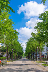 【縦写真】光が丘公園 ふれあいの径