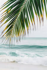 Fototapeta premium Close-up image of a green leaf of a tropical palm tree on the ocean background
