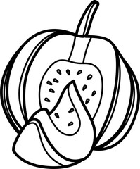 Pumpkin outline illustration vector