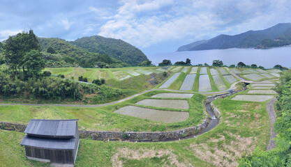 若狭　田烏の棚田