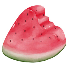 Watermelon, watercolor painting style illustration.