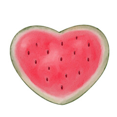 Watermelon, watercolor painting style illustration.