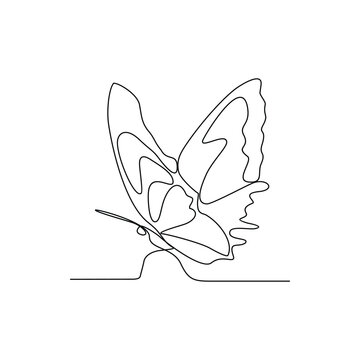 recommend clip art: One continuous line drawing of 
                    Butterflies are flying and will land on flowers vector illustration. Animal themes design concept in simple linear style. Beautiful animal with variance body colors.