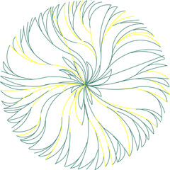 Sketch silhouette illustration vector drawing design detail rosette logo icon plant symbol