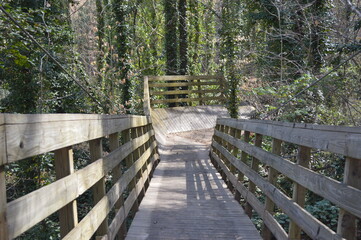 Wooden Trail in the Forrest