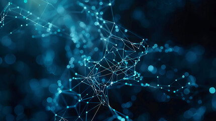 Web of Connections: The Digital Era