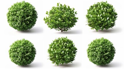 Round Green Shrubs - Perfect for Landscaping and Design Projects, Generative AI
