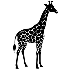 giraffe vector illustration