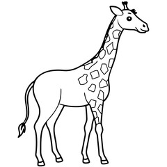 giraffe vector illustration