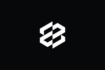 SS abstract vector, letter SS chain link logo, letter SS S sawn logo, letter S SS  modern swan logo, logomark, flying swan geometric logo, finance logo  © Zayn