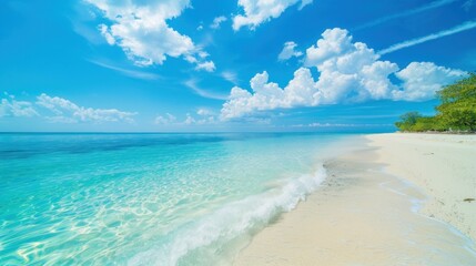 Obraz premium Azure Waters and White Sands of a Tropical Paradise