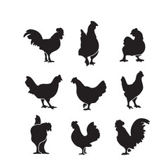 set of chicken