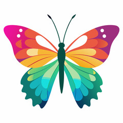 Colorful butterfly vector illustration and svg