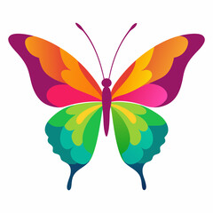 Colorful butterfly vector illustration and svg