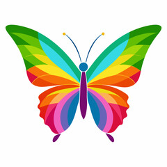 Colorful butterfly vector illustration and svg