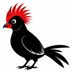 Red-Crested Turaco vector illustration