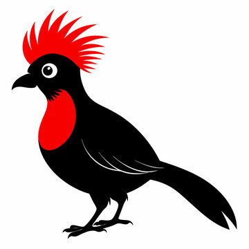 recommend clip art: Red-Crested Turaco vector illustration