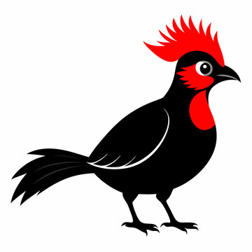 recommend clip art: Red-Crested Turaco vector illustration
