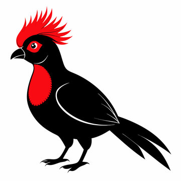 recommend clip art: Red-Crested Turaco vector illustration