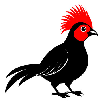recommend clip art: Red-Crested Turaco vector illustration